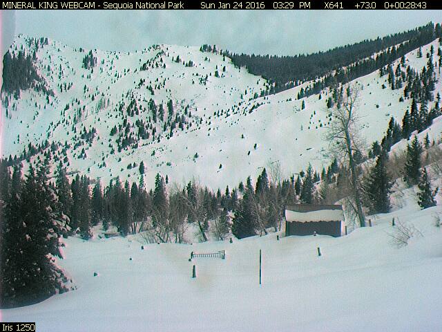 Mineral King Webcam